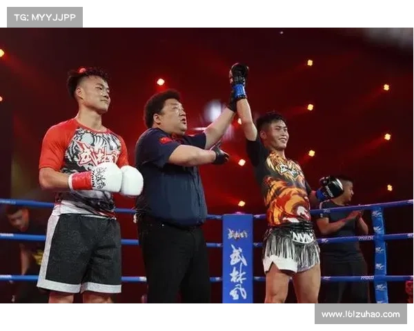 中国搏击赛事节目排名-2021中国搏击排行榜