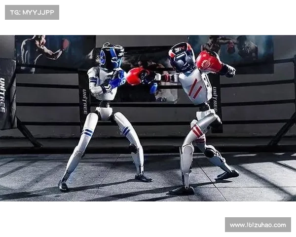 日本搏击赛事(日本搏击赛事荣耀征程：传统武道与现代格斗激情碰撞的辉煌时刻)